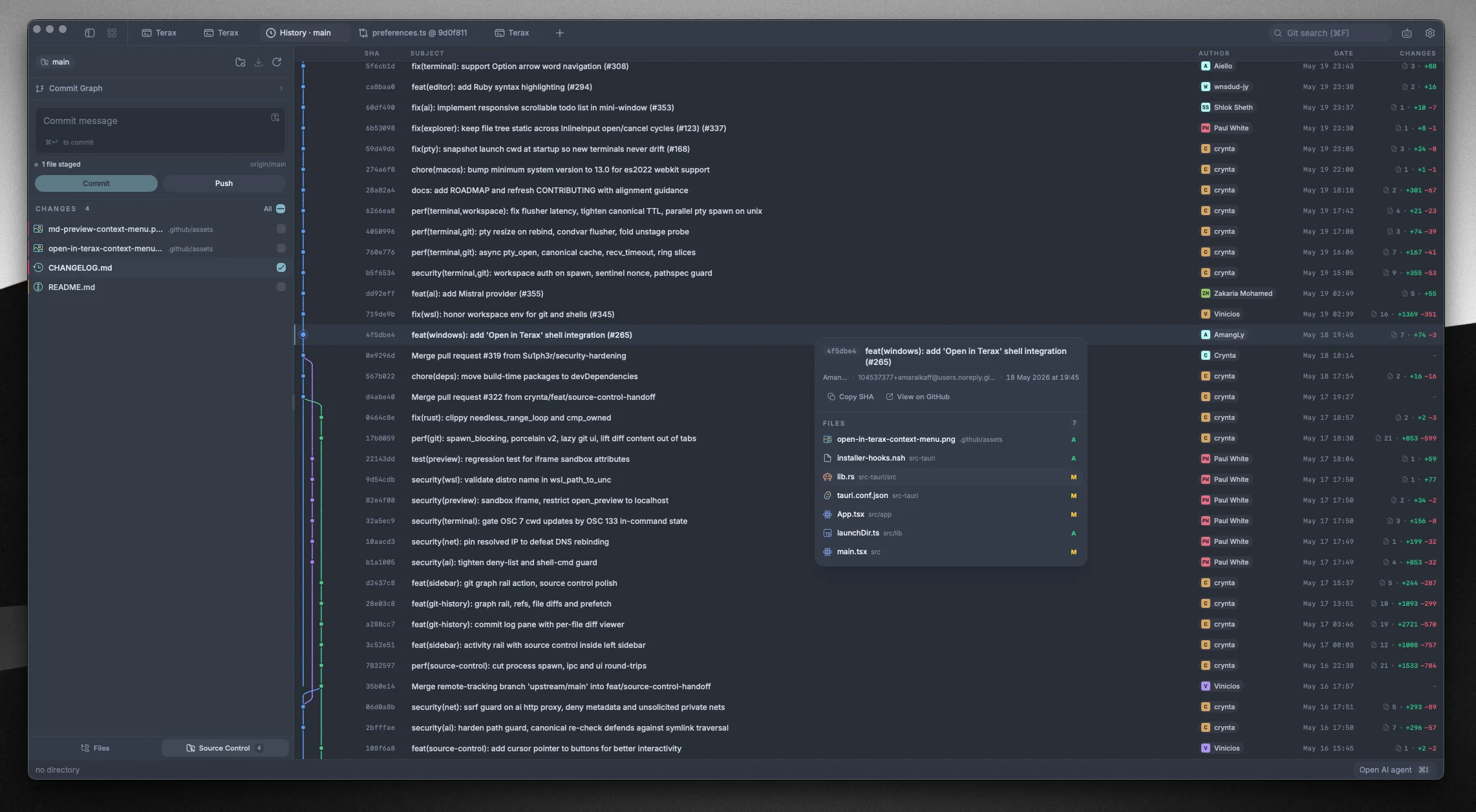 Terax source control panel with diff and commit graph
