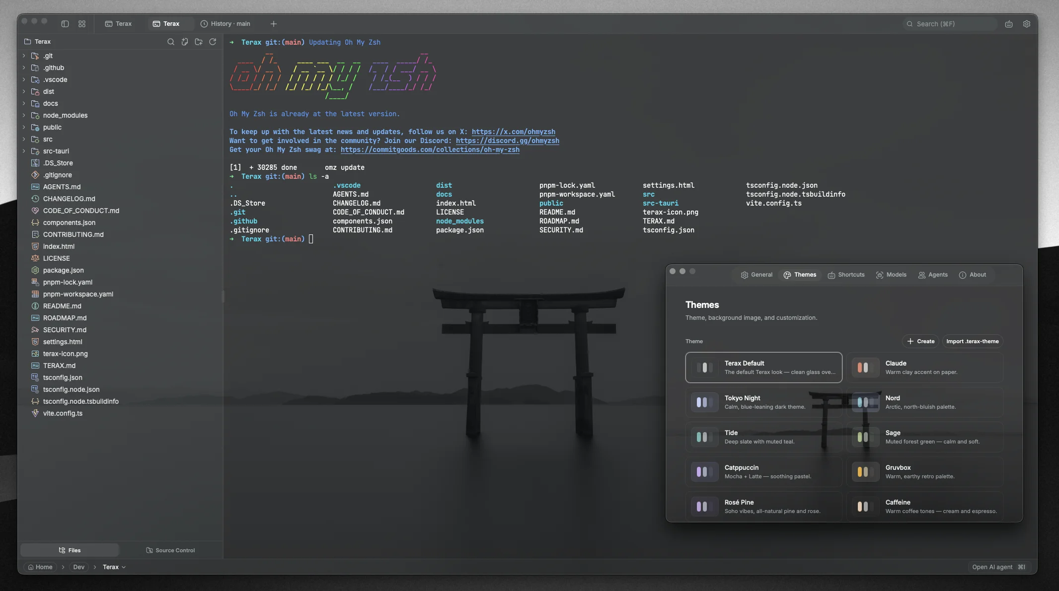 Terax theme picker showing bundled themes and a custom background image