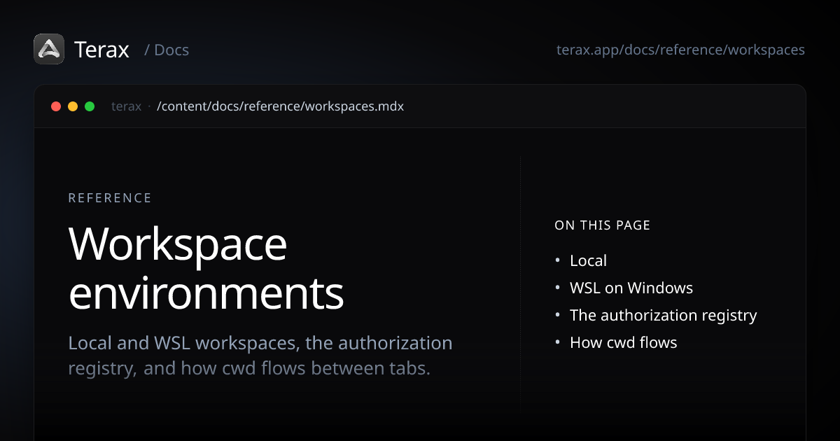 Workspace environments - Terax